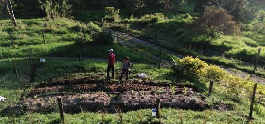 Nodo Pueblo Viejo